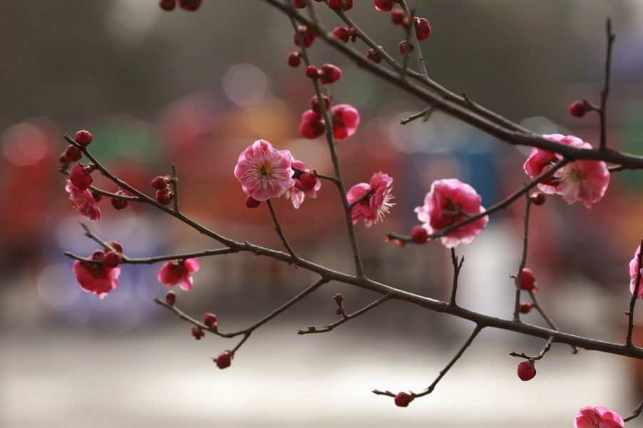 调整大小 调整大小 IMG_3730.jpg