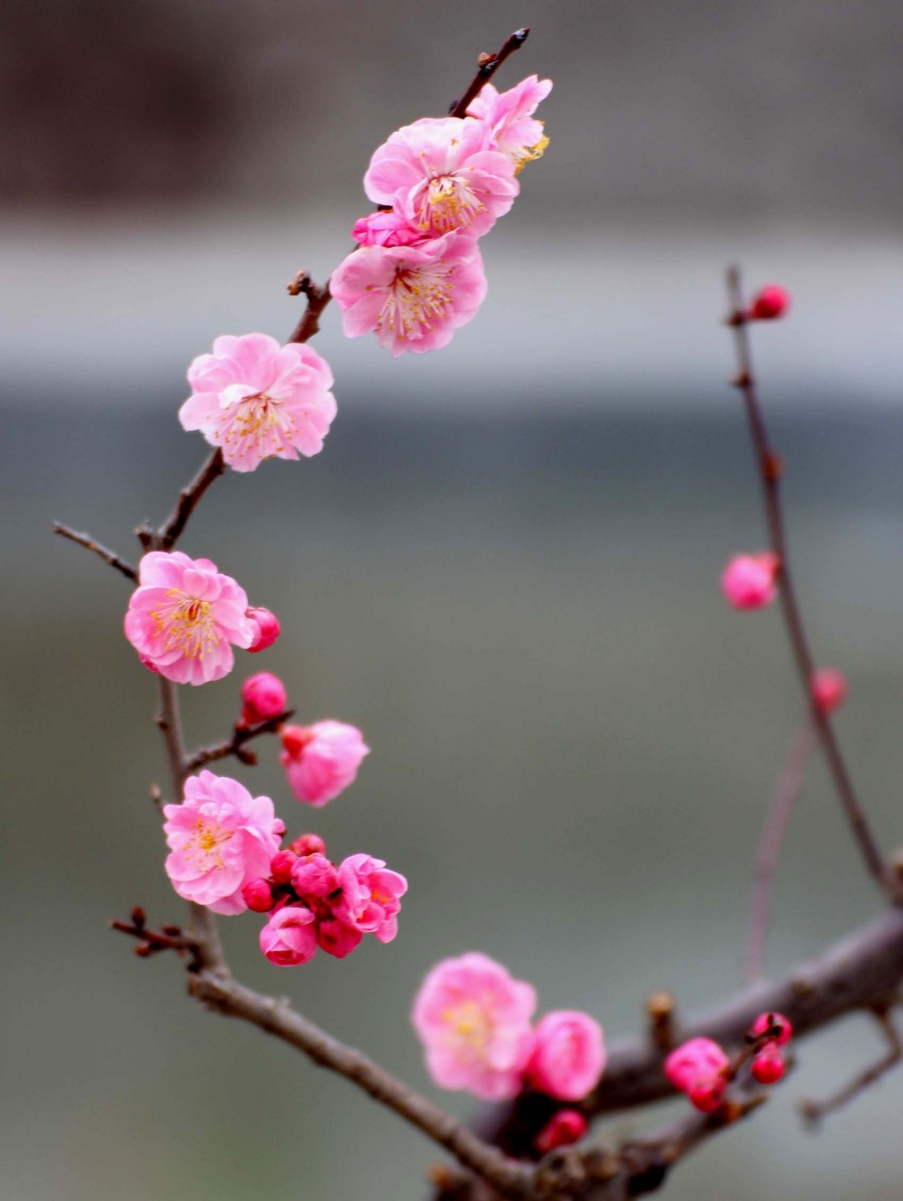 IMG_5879 副本.jpg