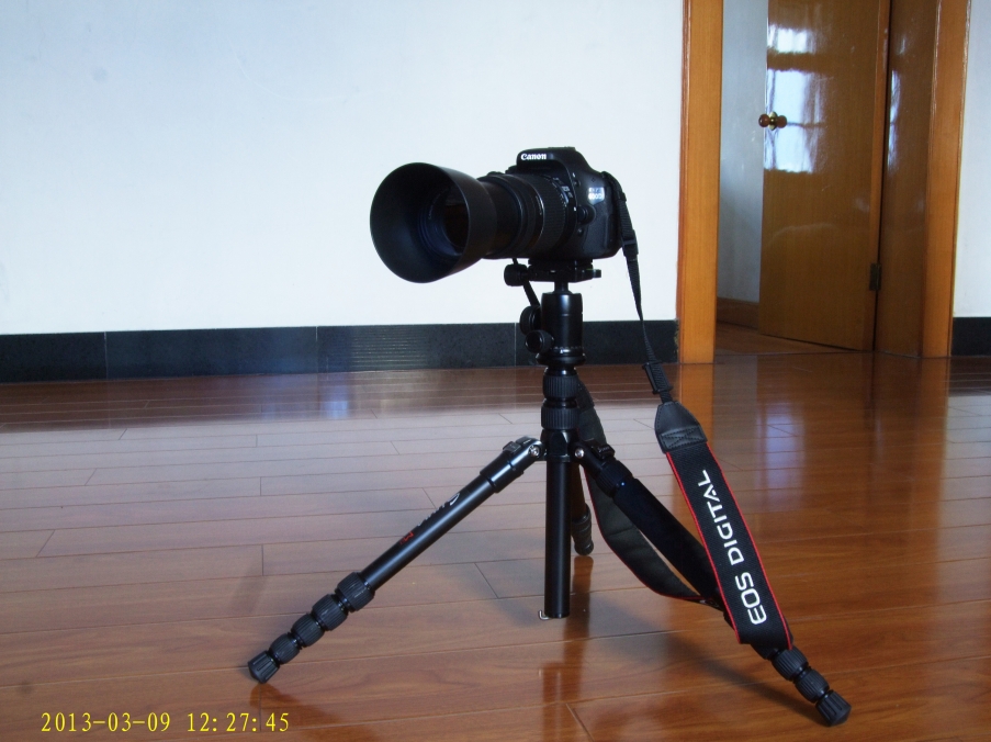 DSCF4584.jpg