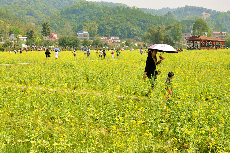 _DSC0168_副本.jpg