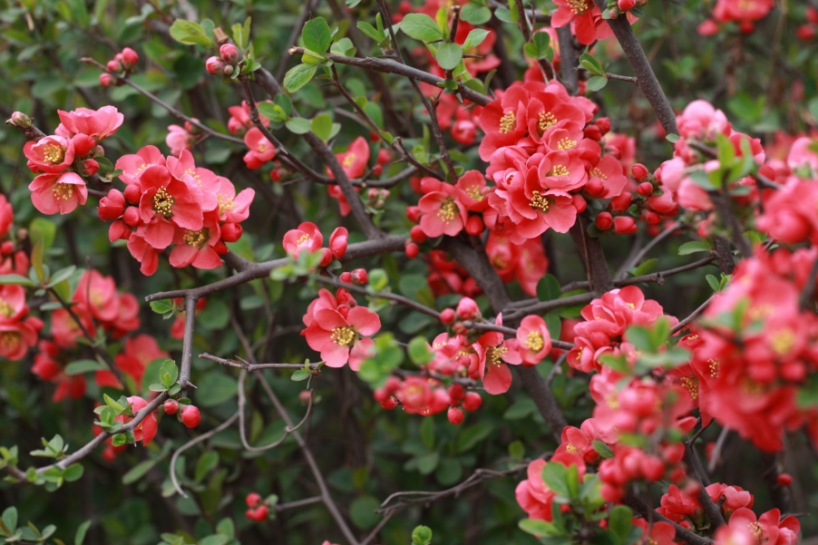 调整大小 IMG_4484.jpg