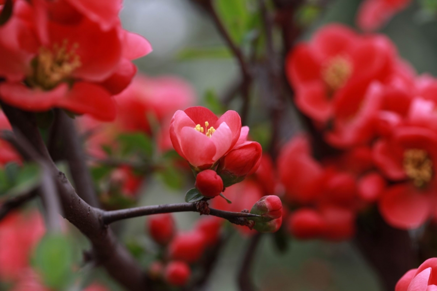 调整大小 IMG_4500.jpg