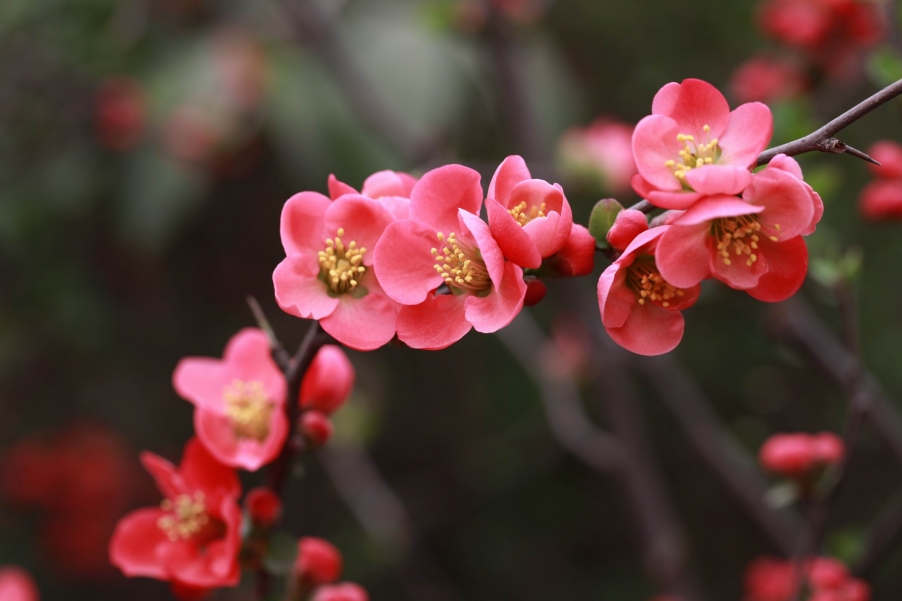 调整大小 IMG_4502.jpg