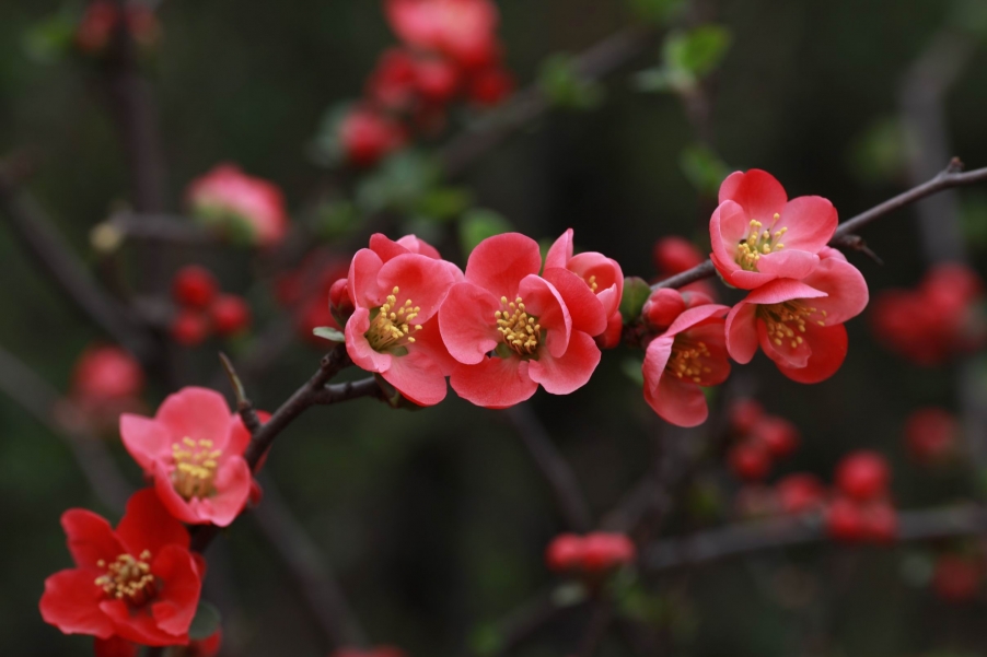 调整大小 IMG_4506.jpg