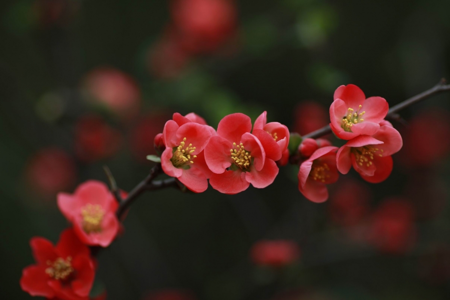 调整大小 IMG_4507.jpg