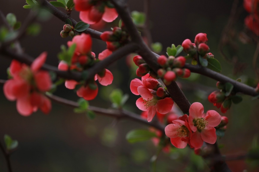 调整大小 IMG_4533.jpg