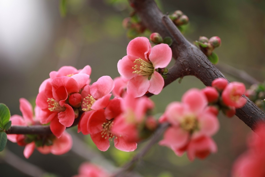 调整大小 IMG_4541.jpg