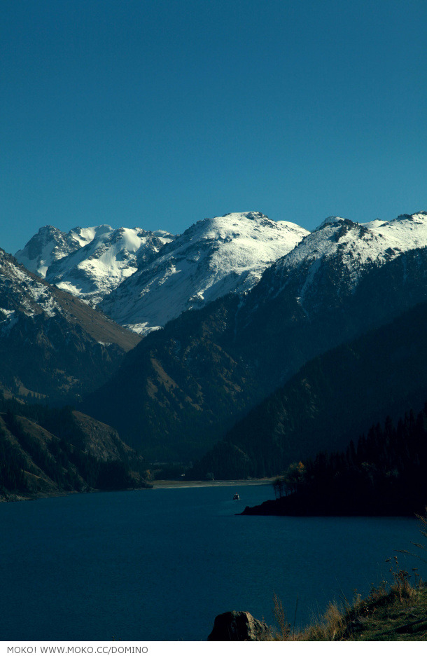 img1_src_7284331.jpg