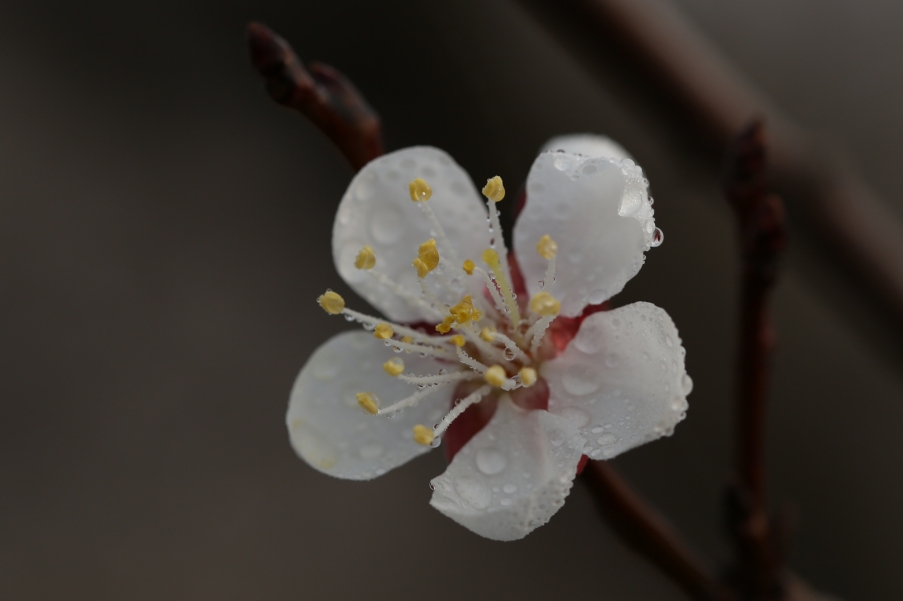 5D3A0195.jpg