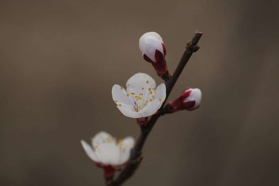 5D3A0227-.jpg