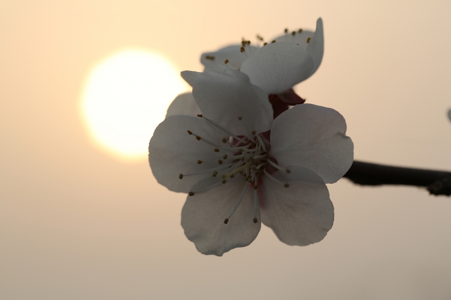 5D3A0253.jpg