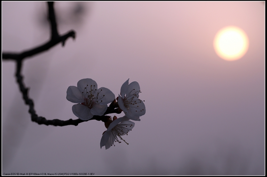 5D3A0280.jpg
