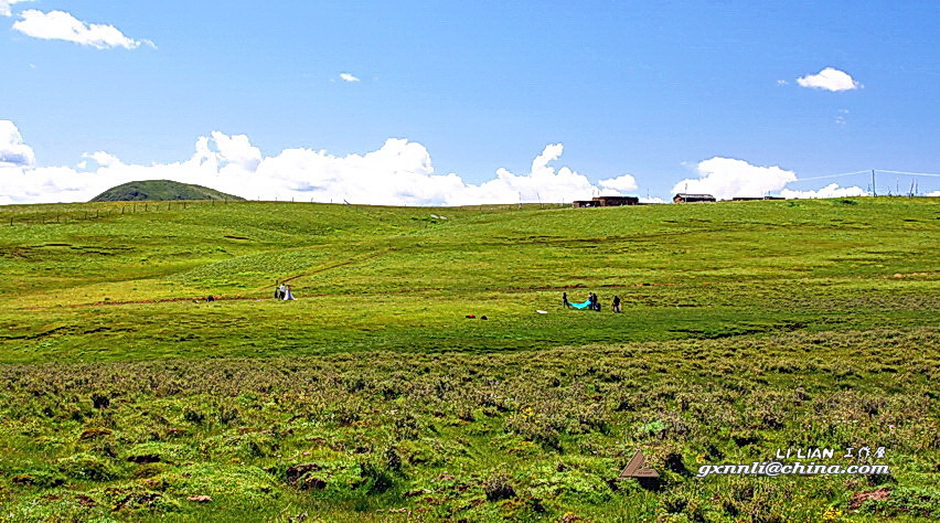 塔公草原 (6).jpg