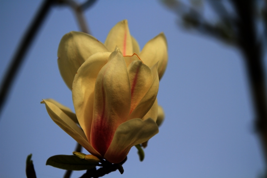 何征照片 381.jpg