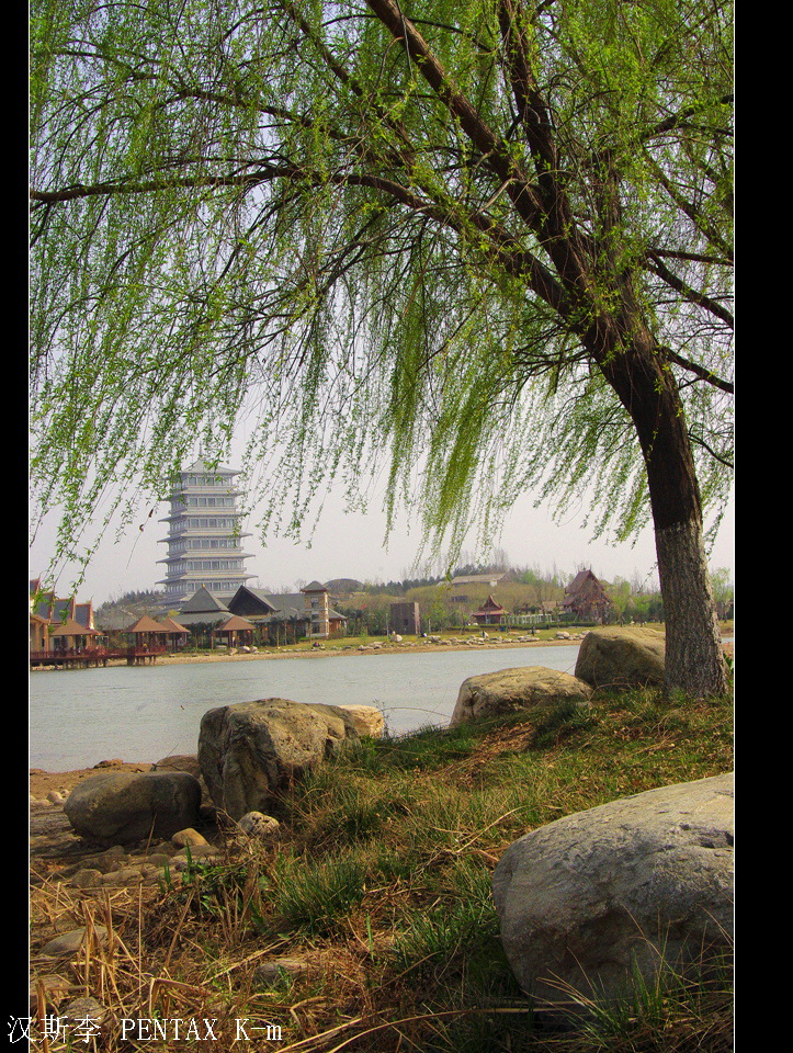 IMGP2976.jpg