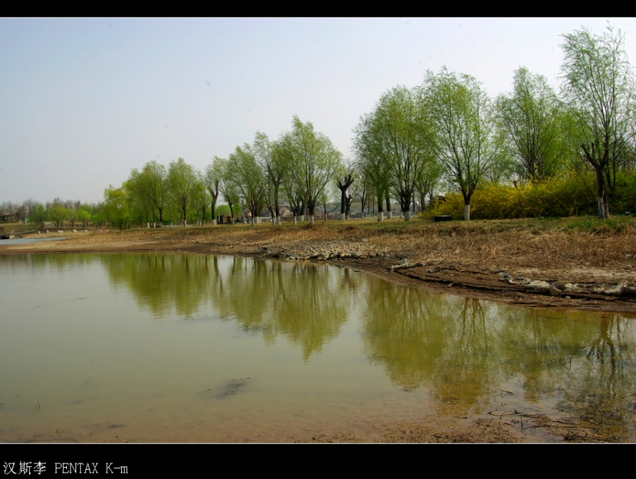 IMGP2992.jpg