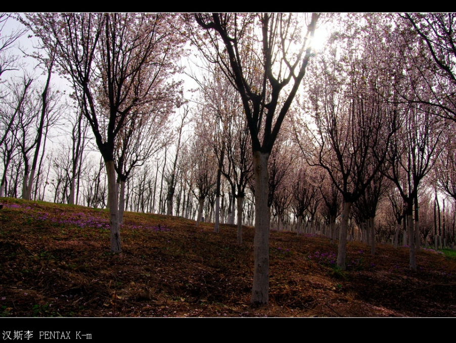 IMGP3010.jpg