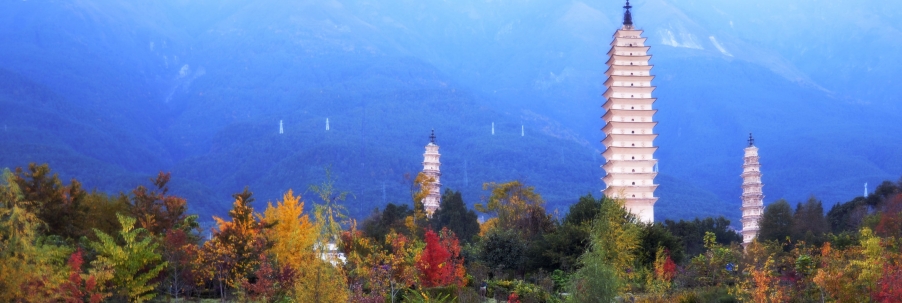 DSC_1462.jpg