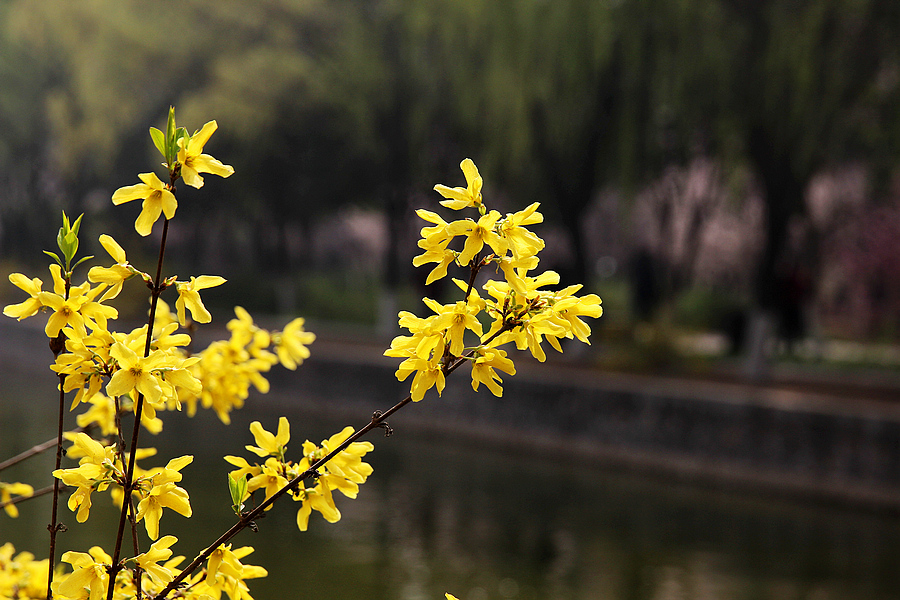 IMG_2741_副本.jpg