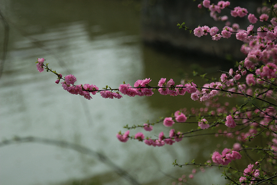 IMG_2641_副本.jpg