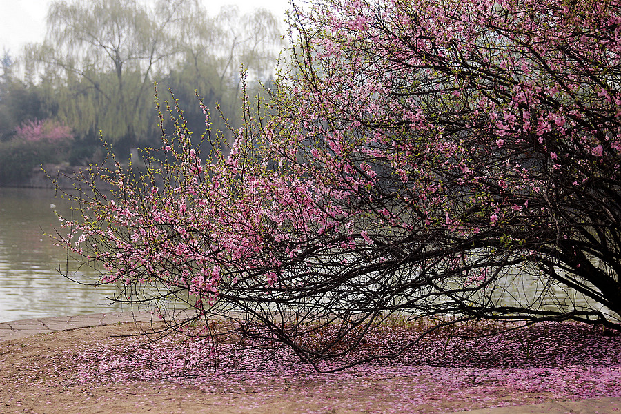 IMG_2642_副本.jpg