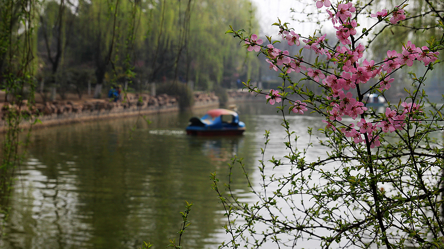IMG_2671_副本.jpg