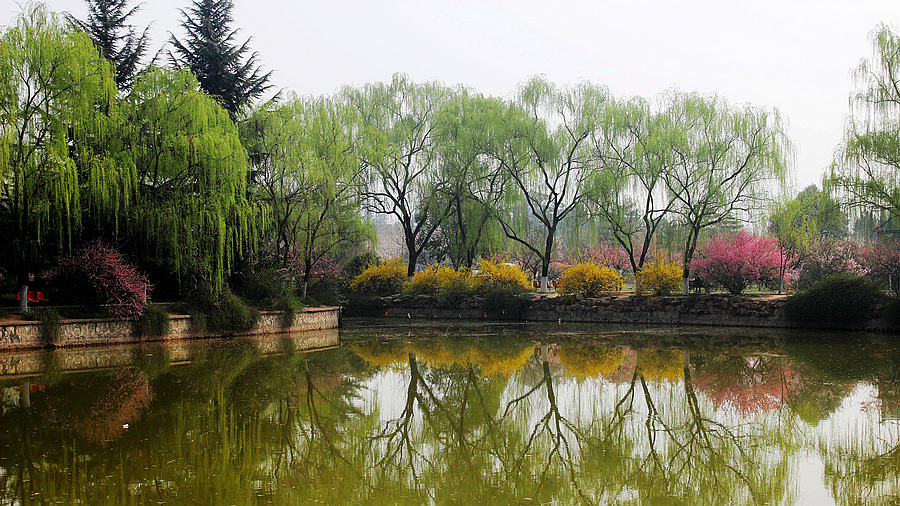 IMG_2626_副本.jpg