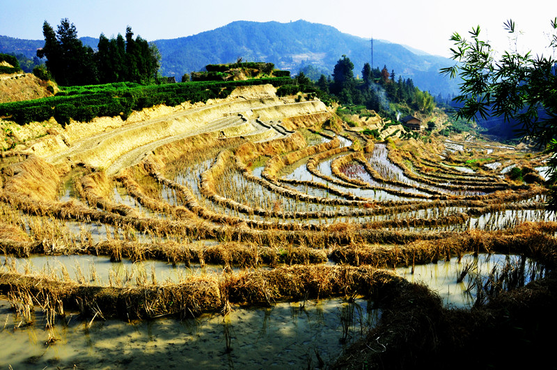 11.12.17汤湖 020_副本.jpg