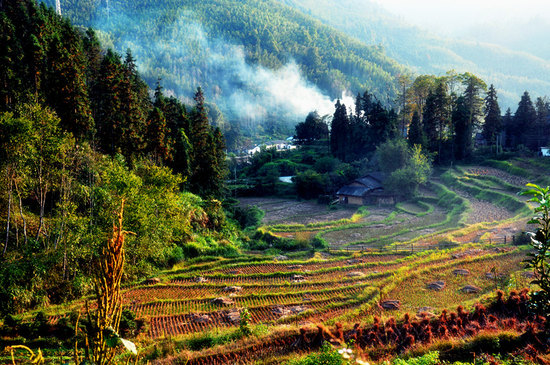 11.10.15迷路之驴 083_副本.jpg