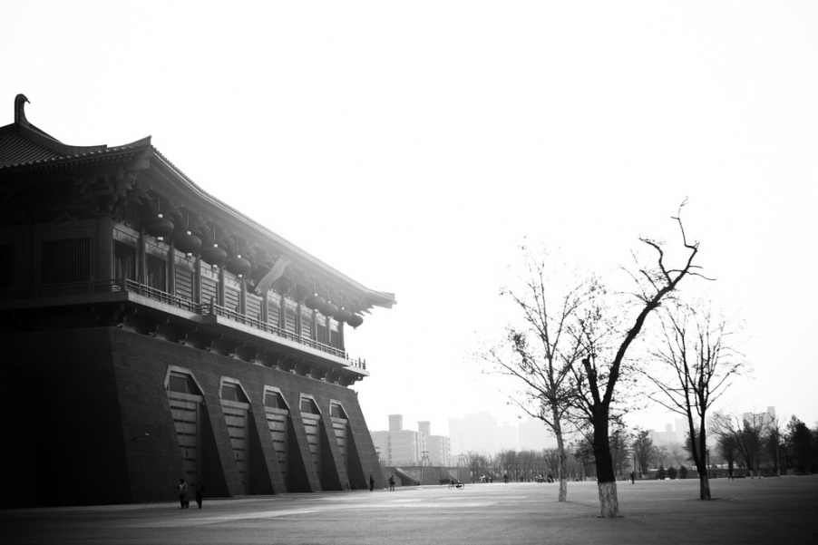 _MG_1825.jpg