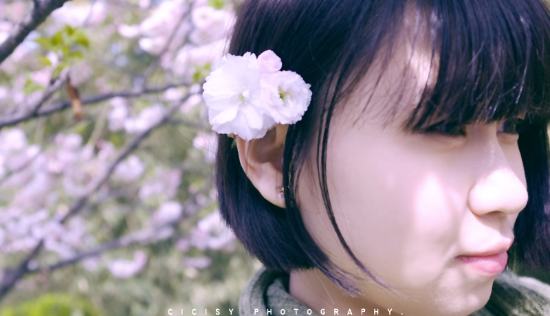 DSCF3748.JPG