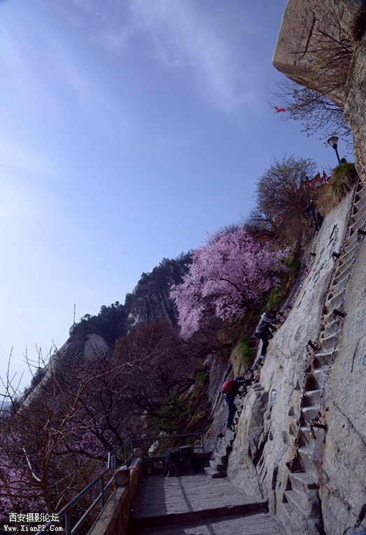 DSC_0827_副本.jpg