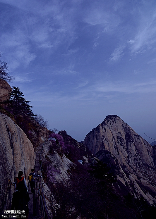 DSC_0800_副本.jpg