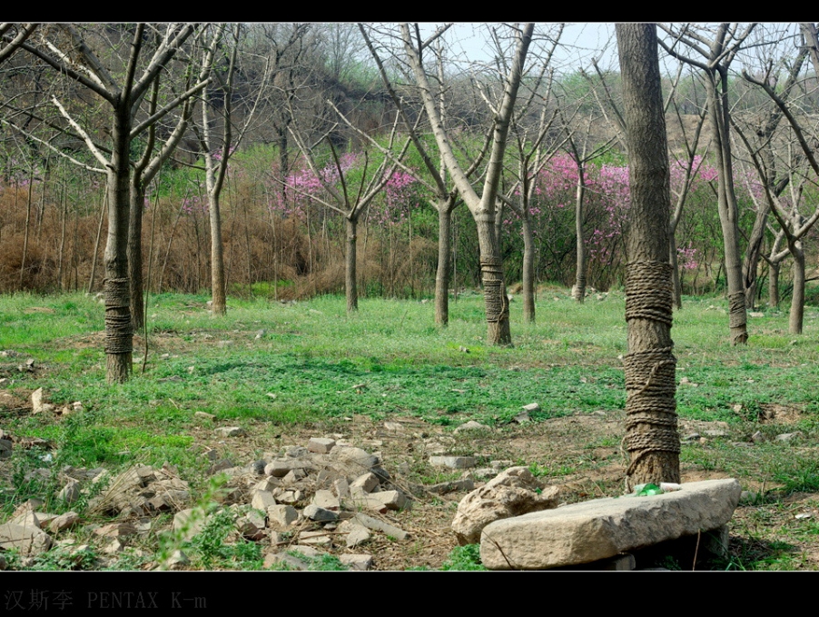 IMGP3073.jpg