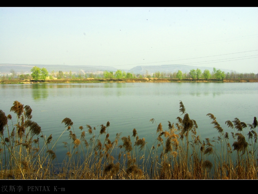 IMGP3083.jpg