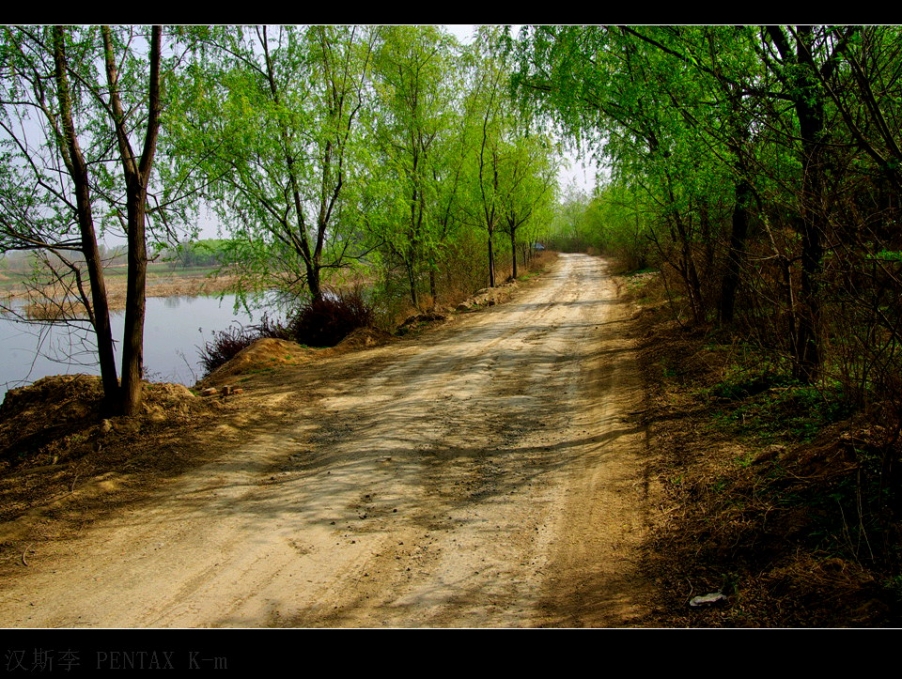 IMGP3085.jpg
