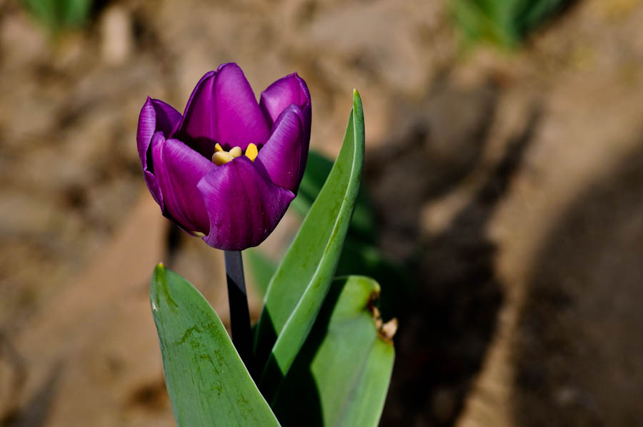 DSC_1028.jpg