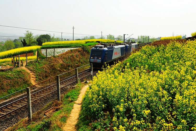 DSC_7626_nEO_IMG.jpg