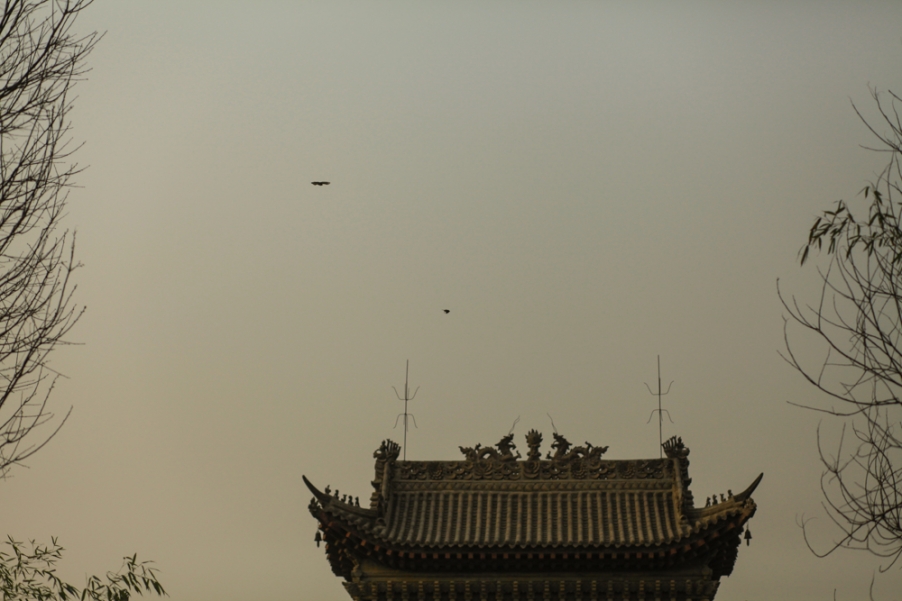 20130324-IMG_4354.jpg