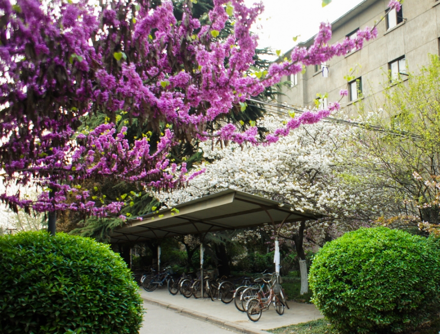 20130323-DSC05151.jpg