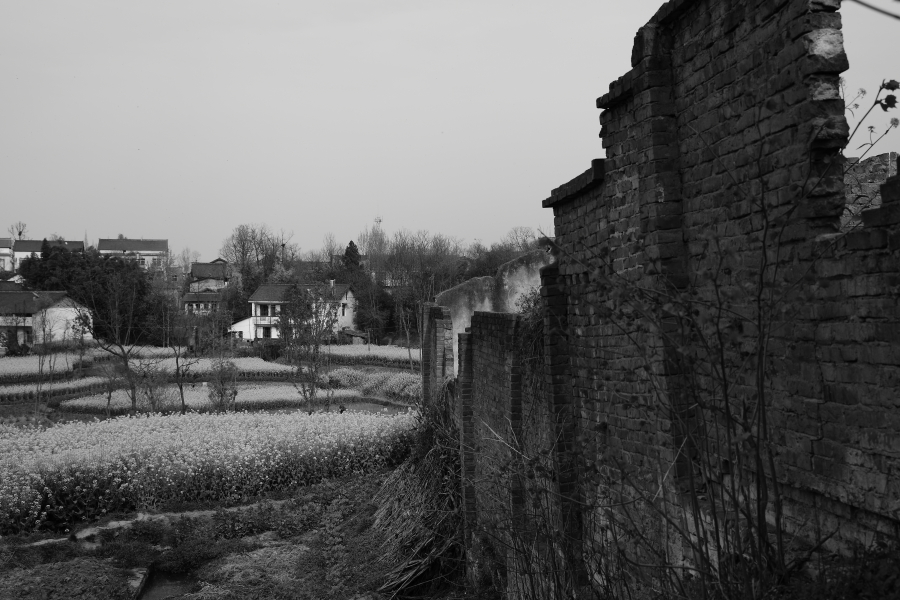 DPP_00207.JPG