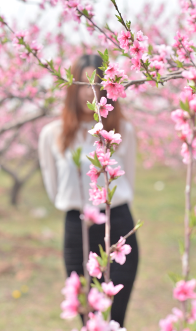 QQ20130325-14.png