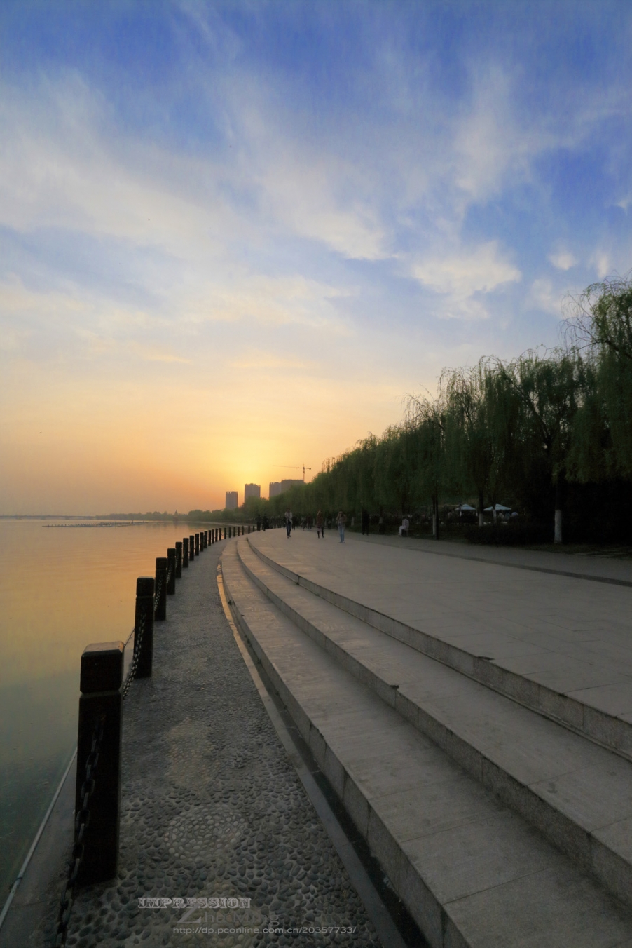 汉中油菜花156.jpg