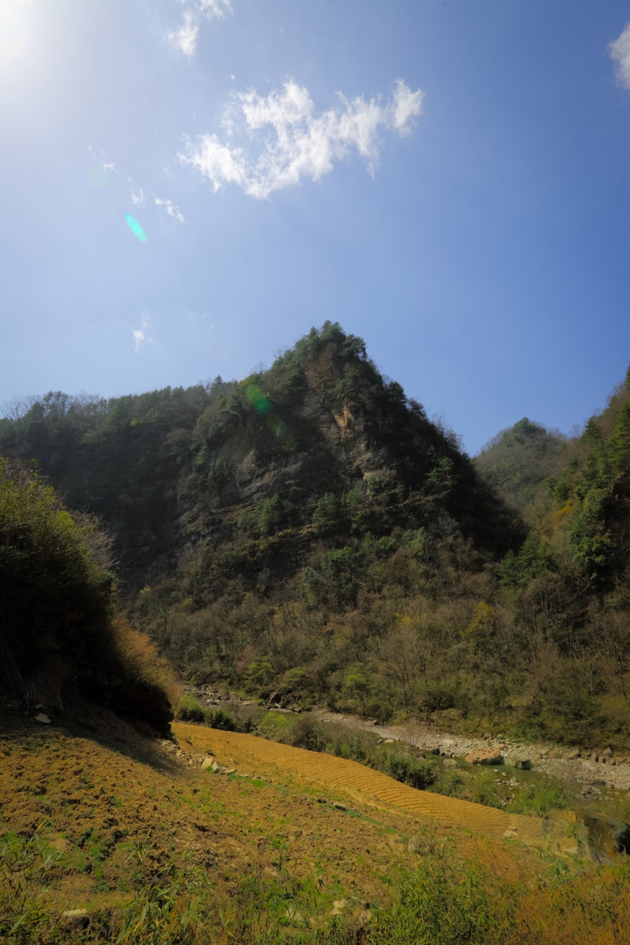 汉中油菜花159.jpg