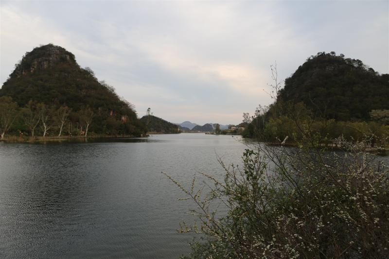 IMG_9444.jpg