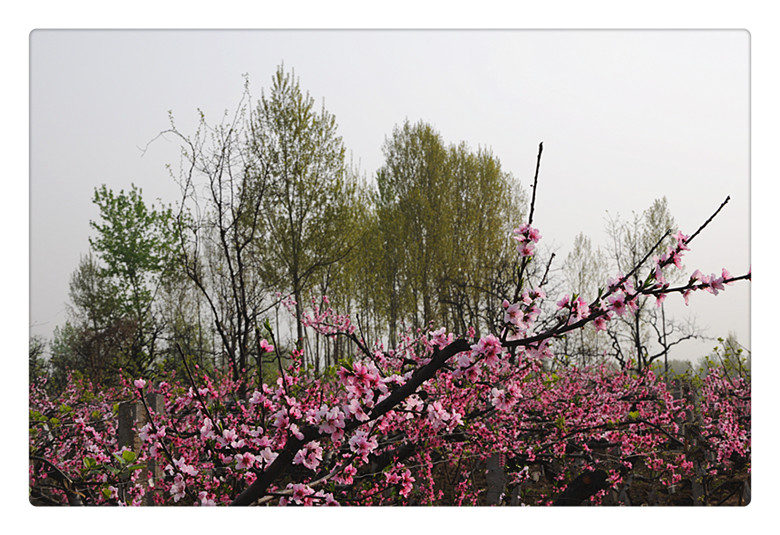 DSC_0024_副本.jpg