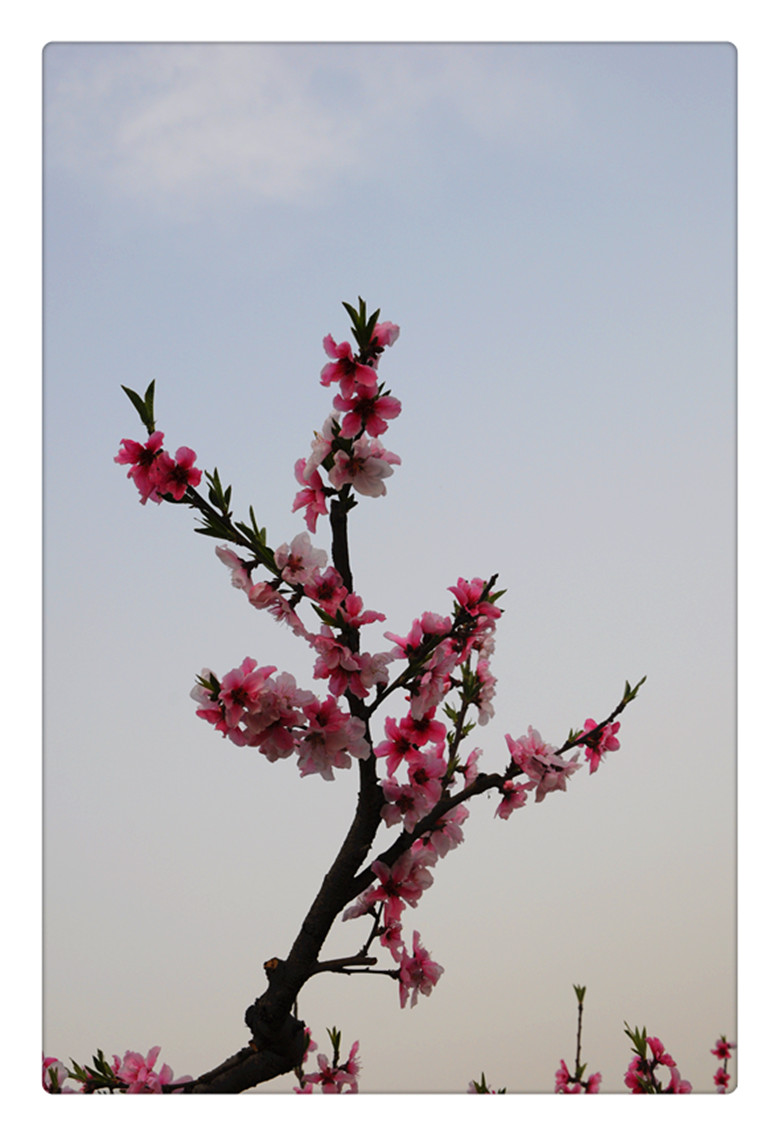 DSC_0116_副本.jpg