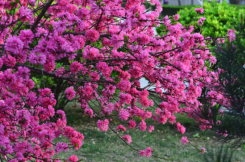 照片 060_副本.jpg