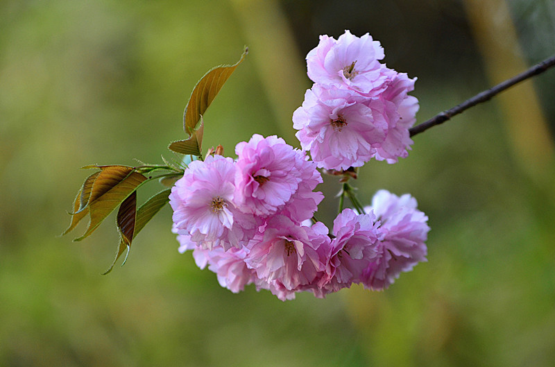 照片 069_副本.jpg