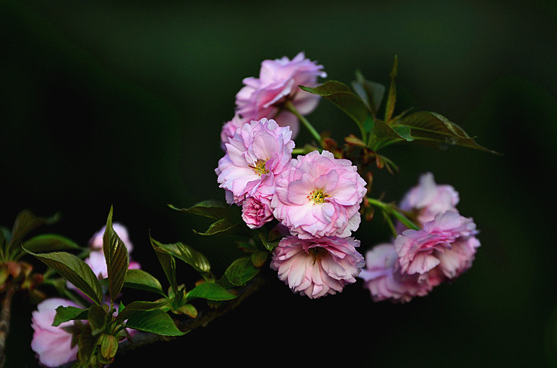 照片 083_副本.jpg